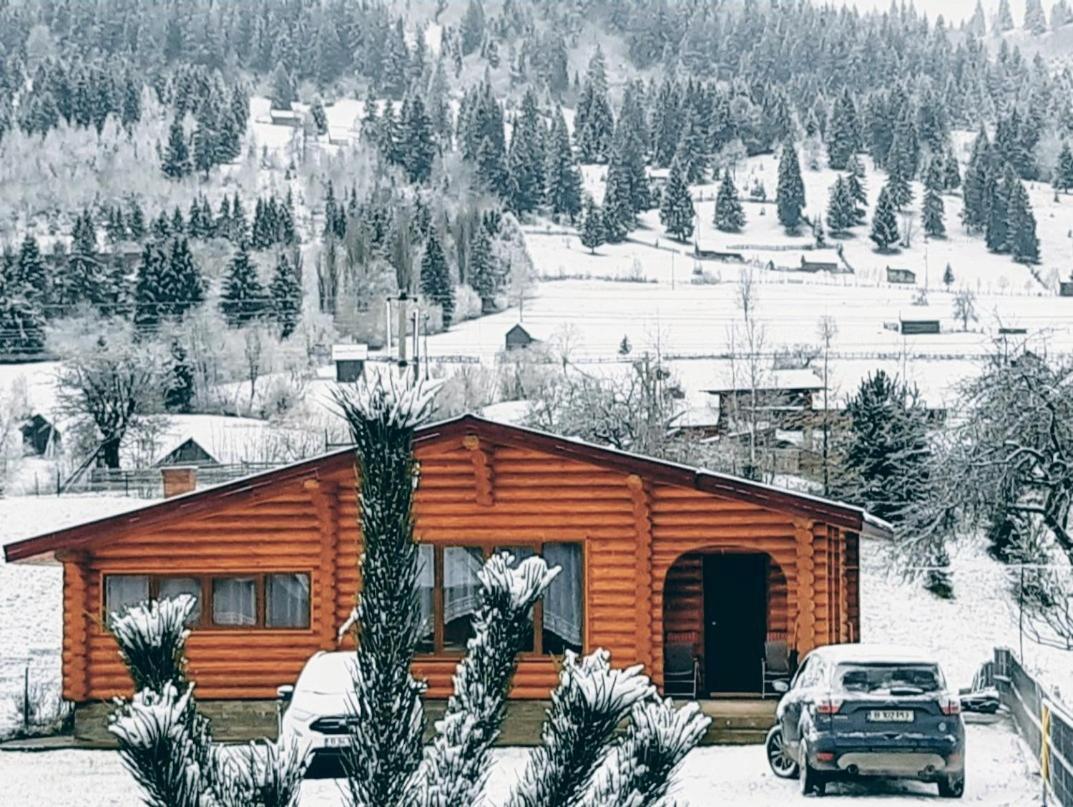 Cabana Alesia, Relaxare La Poalele Raraului Кымпулунг-Молдовенеск Экстерьер фото