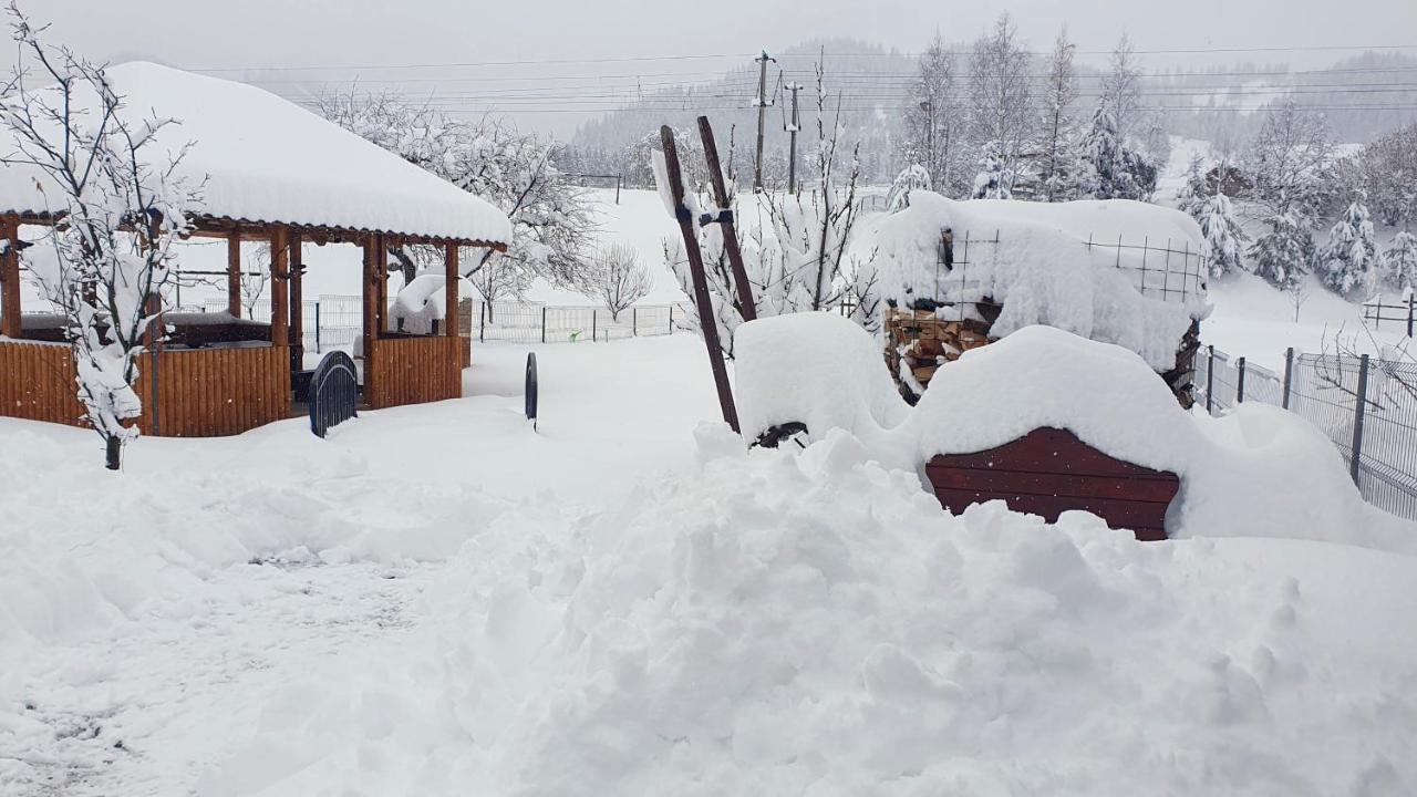 Cabana Alesia, Relaxare La Poalele Raraului Кымпулунг-Молдовенеск Экстерьер фото